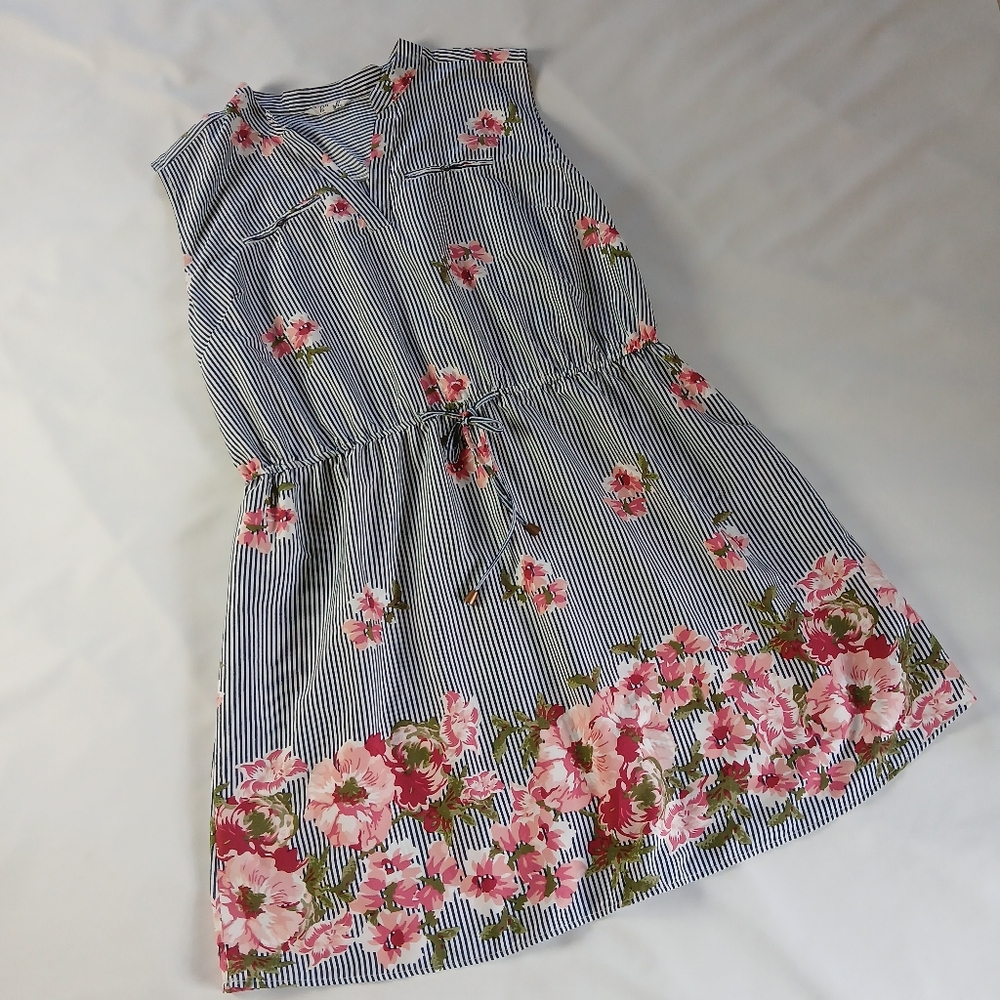 Hint Of Blush Sleeveless Striped Floral Dress